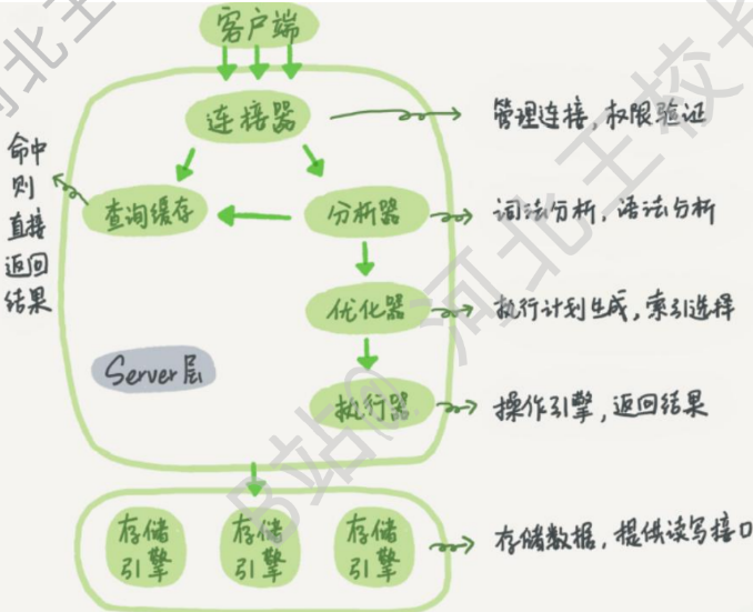 image-20220323145106804